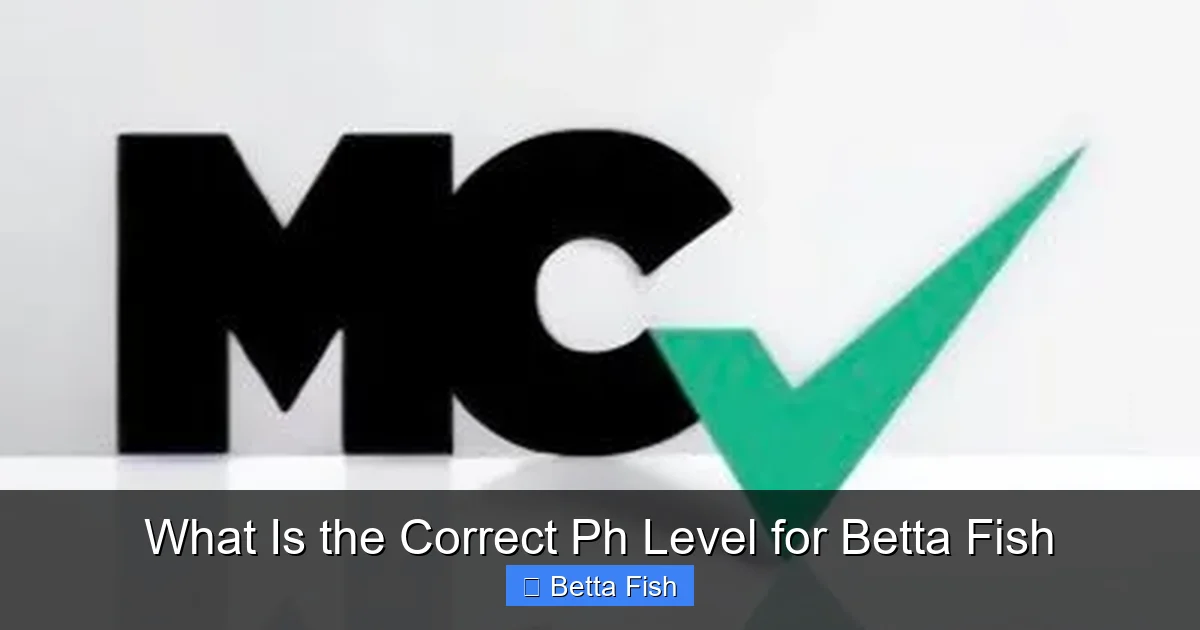 What Is the Correct Ph Level for Betta Fish