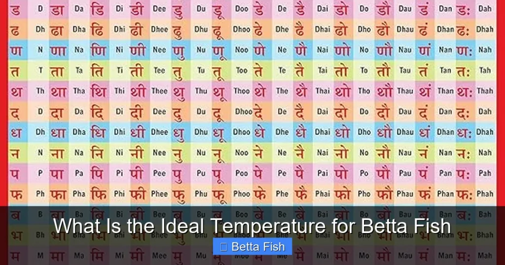 What Is the Ideal Temperature for Betta Fish