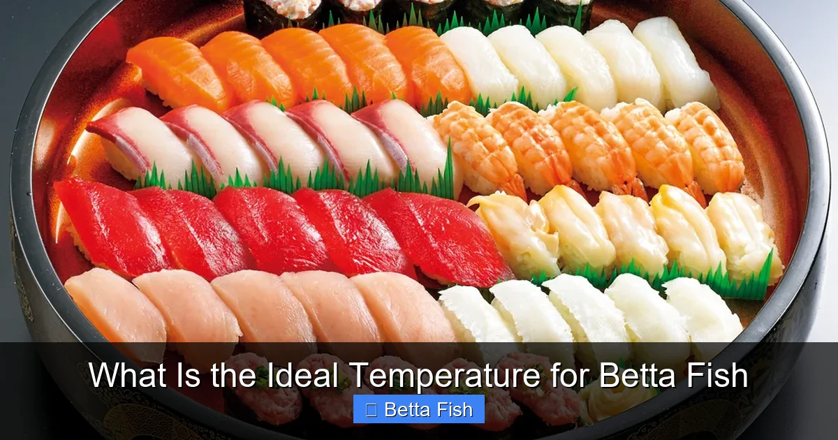 What Is the Ideal Temperature for Betta Fish