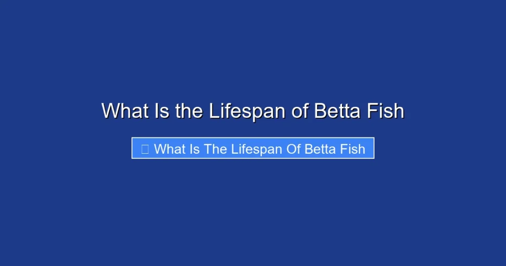 What Is the Lifespan of Betta Fish