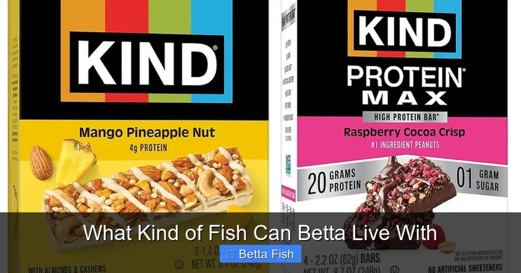 What Kind of Fish Can Betta Live With