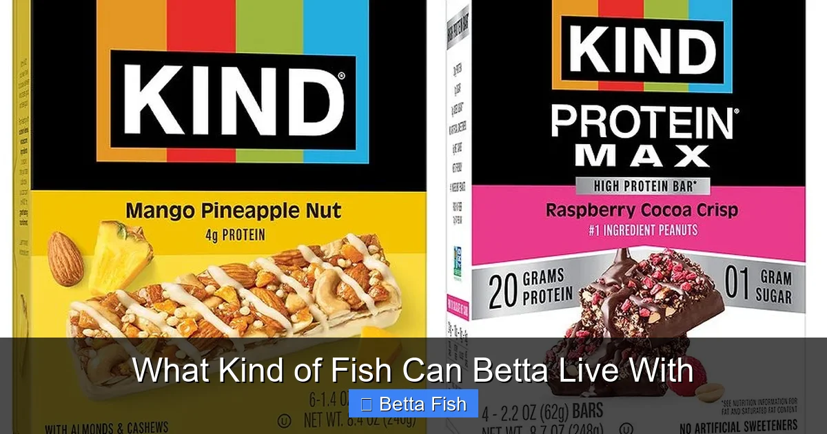 What Kind of Fish Can Betta Live With