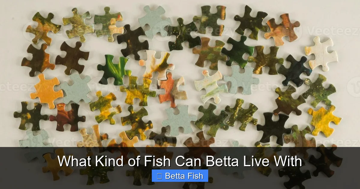 What Kind of Fish Can Betta Live With