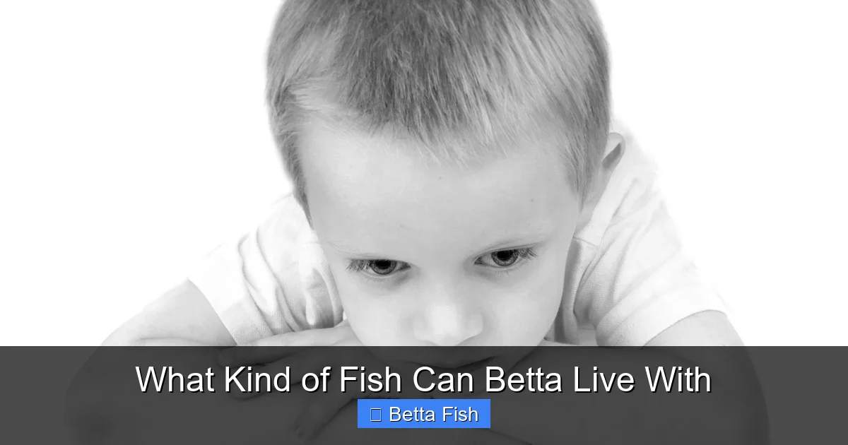 What Kind of Fish Can Betta Live With