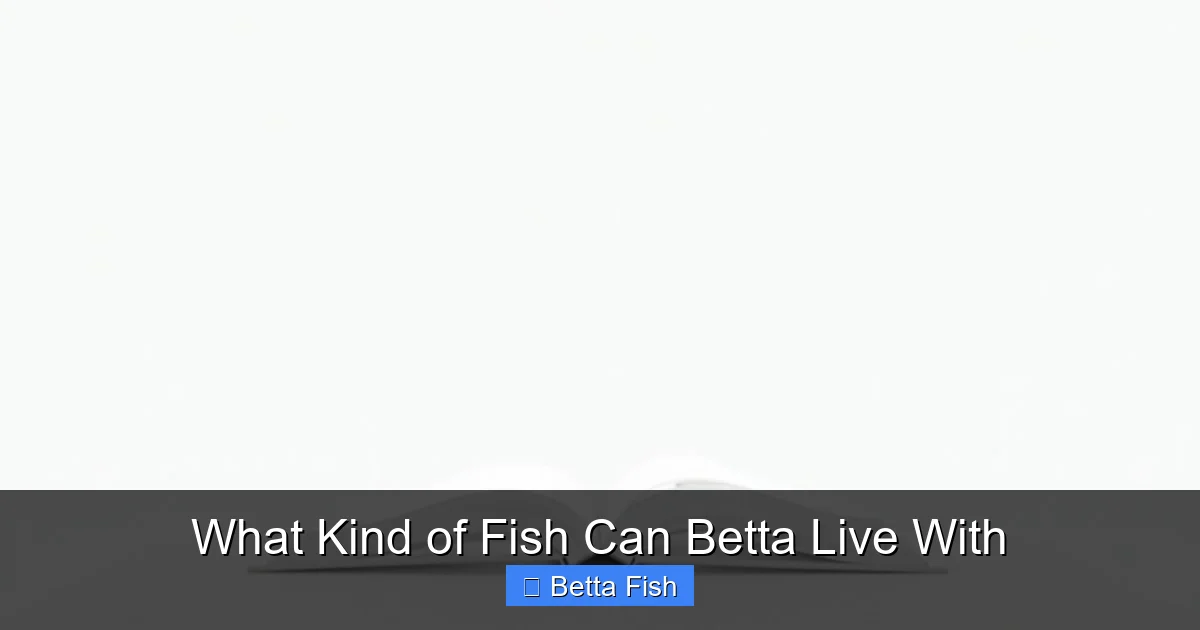 What Kind of Fish Can Betta Live With