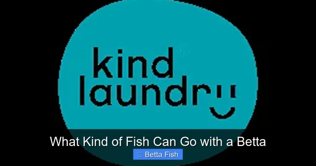 What Kind of Fish Can Go with a Betta