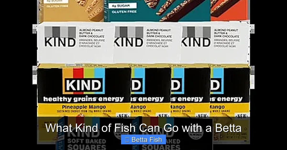 What Kind of Fish Can Go with a Betta
