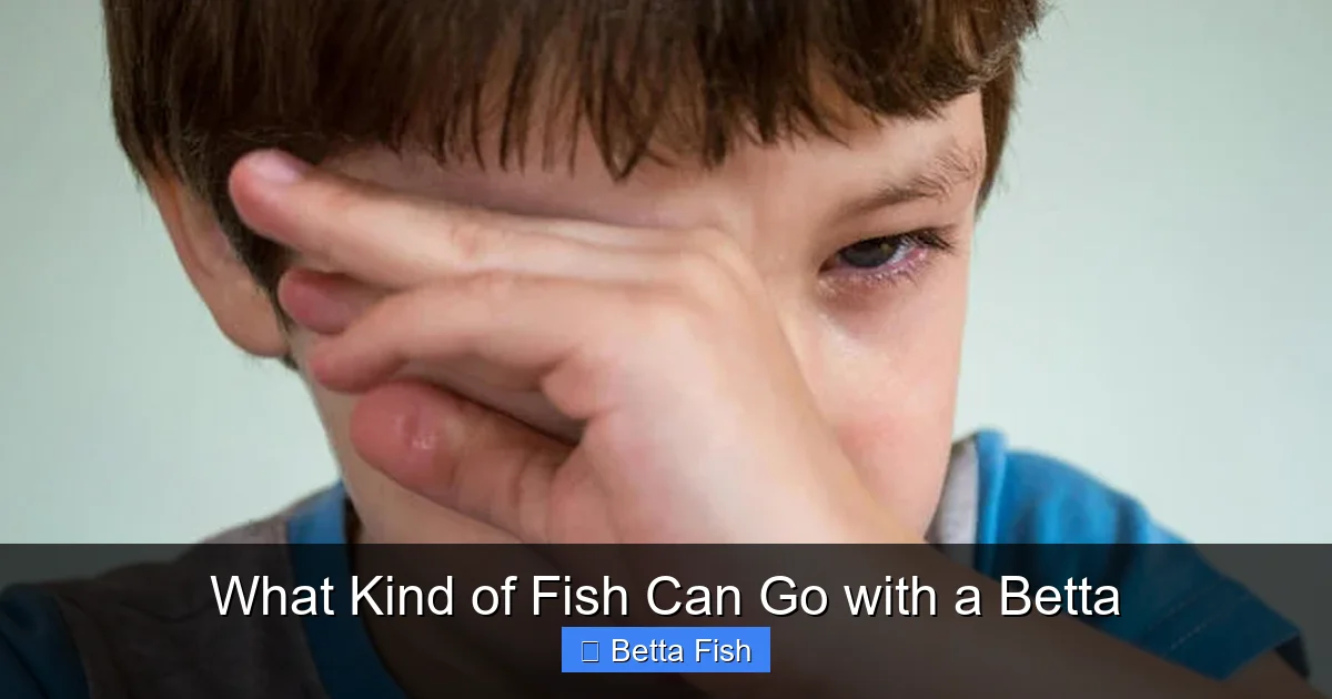 What Kind of Fish Can Go with a Betta