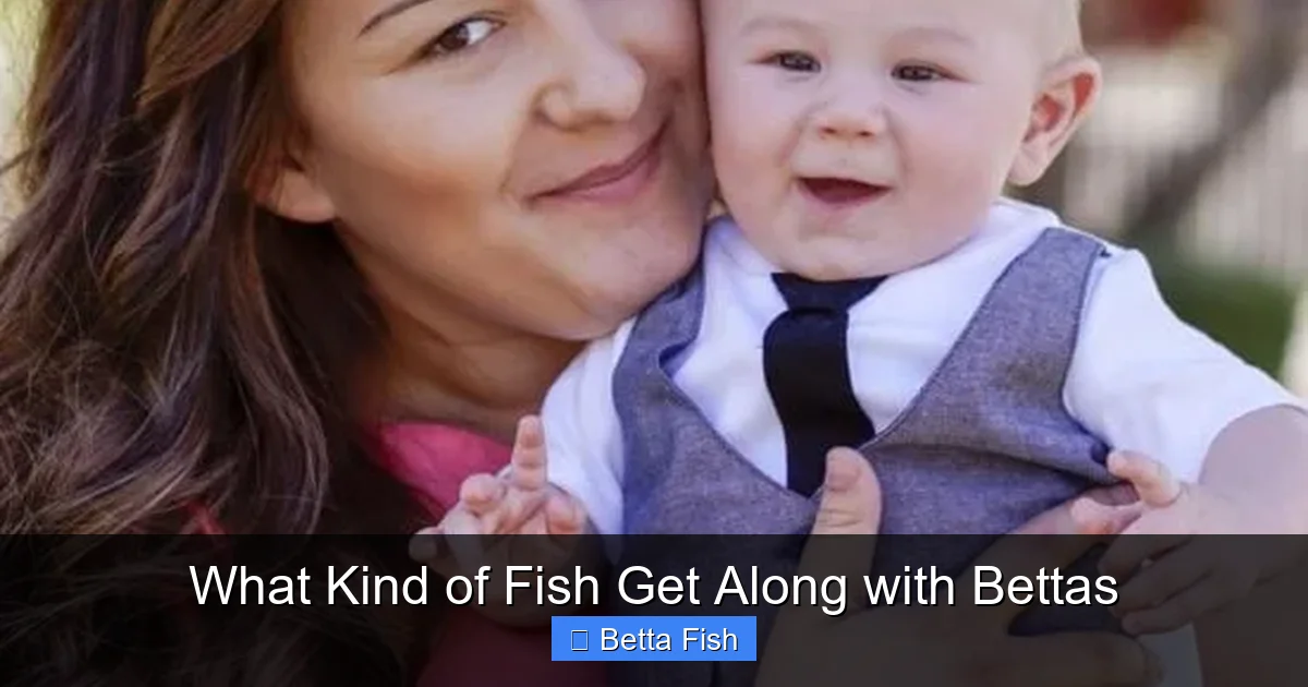 What Kind of Fish Get Along with Bettas