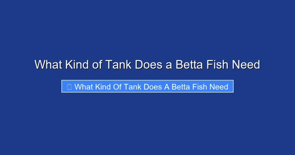 What Kind of Tank Does a Betta Fish Need