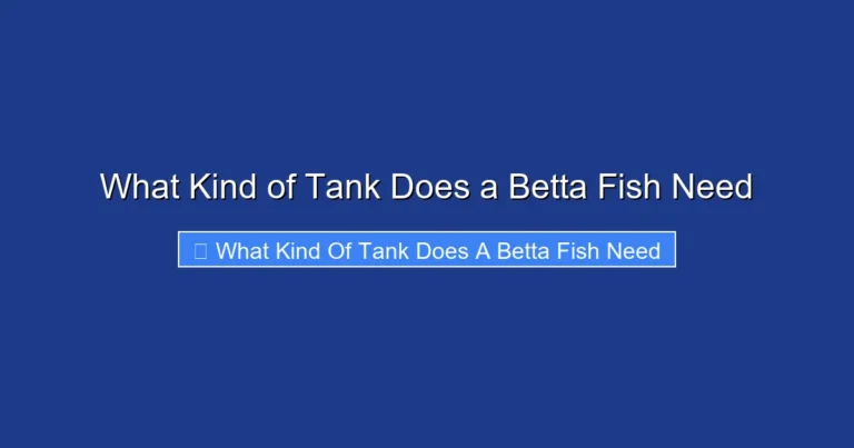 What Kind of Tank Does a Betta Fish Need