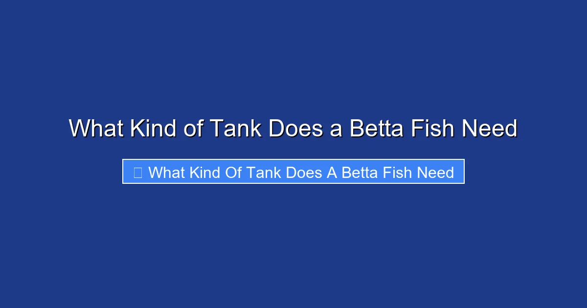 What Kind of Tank Does a Betta Fish Need