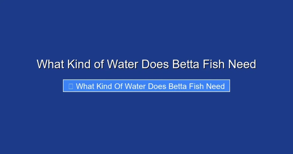 What Kind of Water Does Betta Fish Need