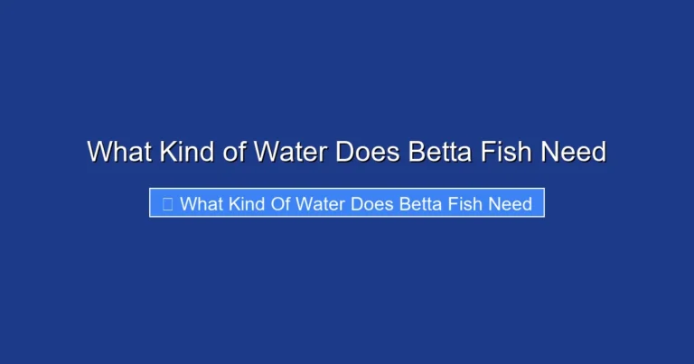 What Kind of Water Does Betta Fish Need