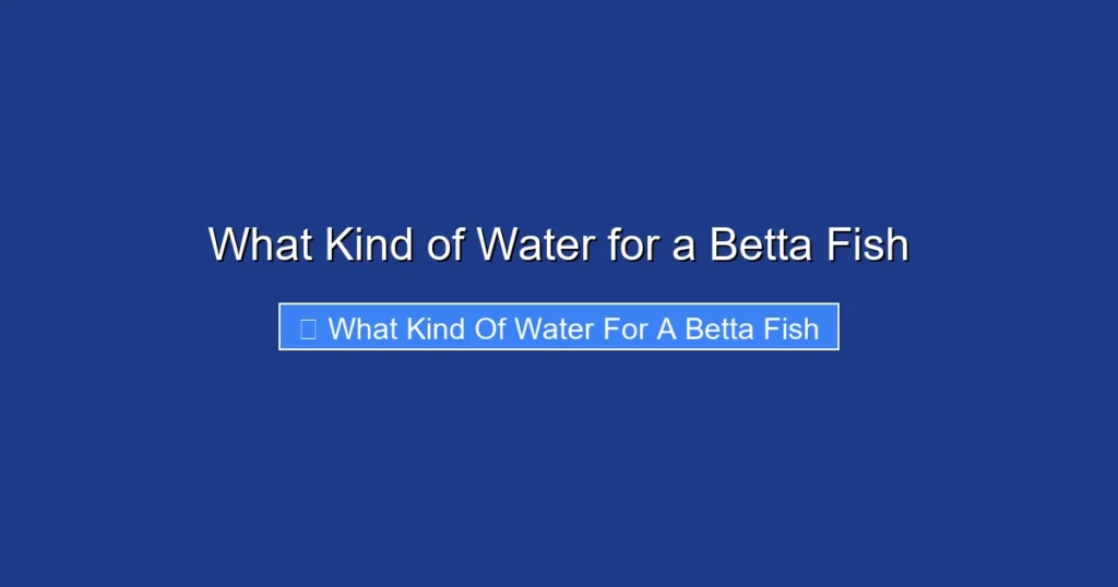 What Kind of Water for a Betta Fish