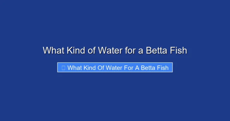 What Kind of Water for a Betta Fish