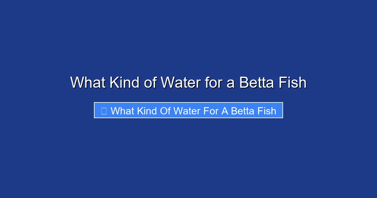 What Kind of Water for a Betta Fish