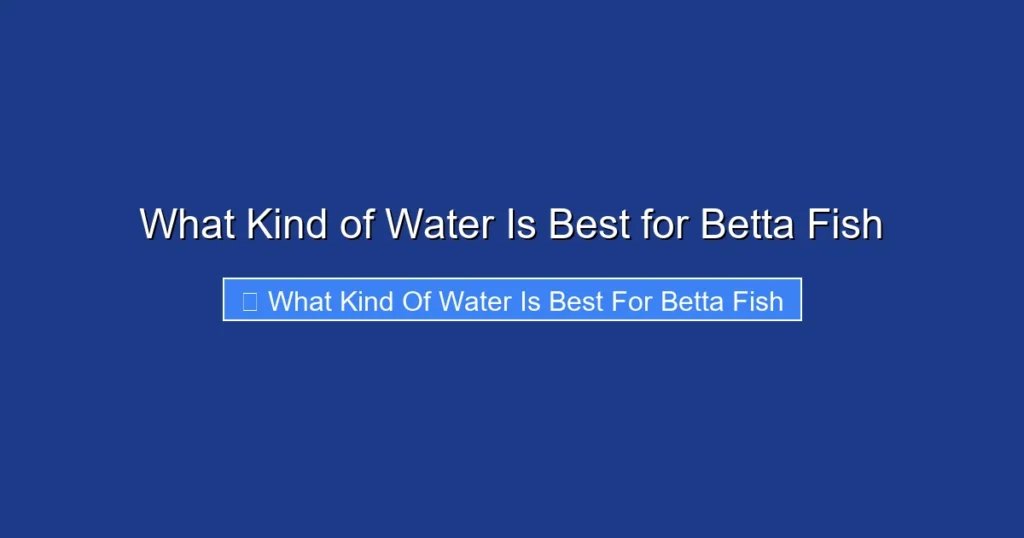 What Kind of Water Is Best for Betta Fish