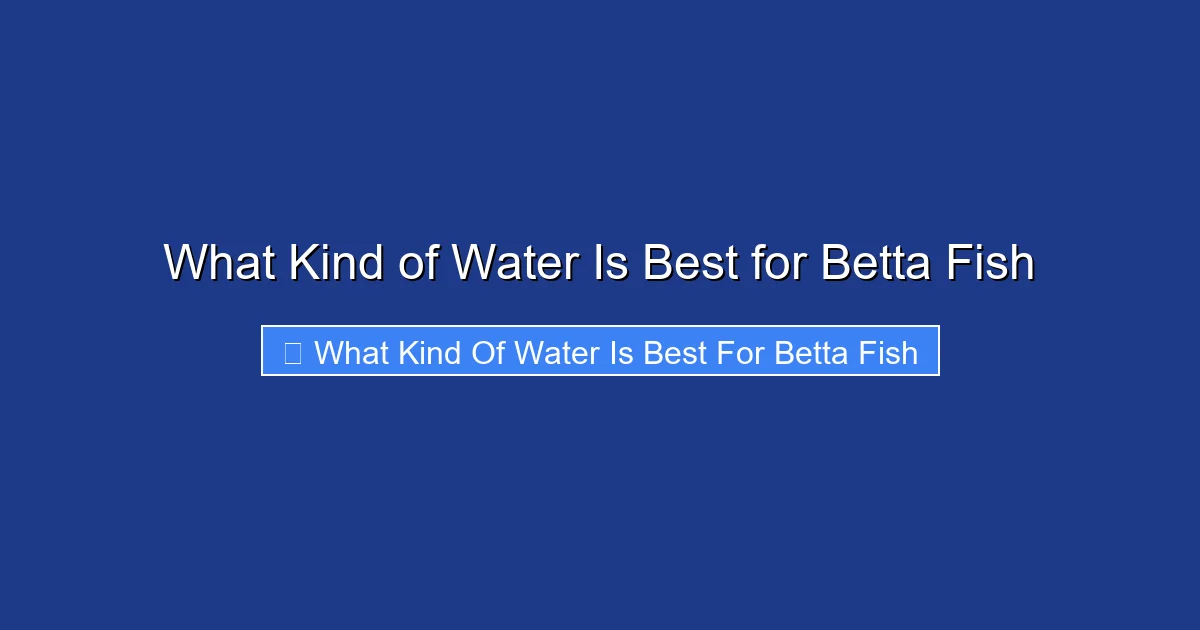 What Kind of Water Is Best for Betta Fish