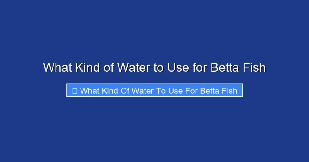 What Kind of Water to Use for Betta Fish