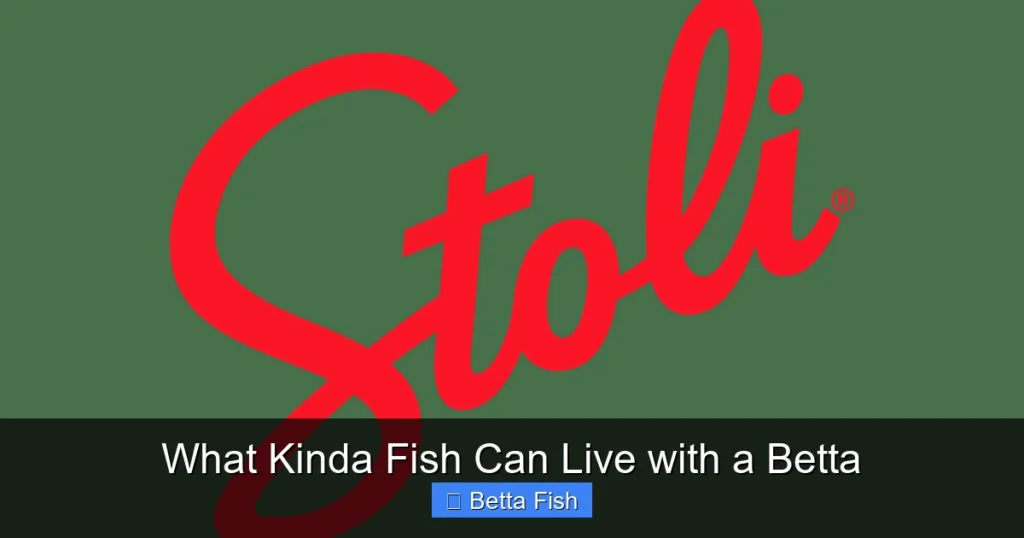 What Kinda Fish Can Live with a Betta