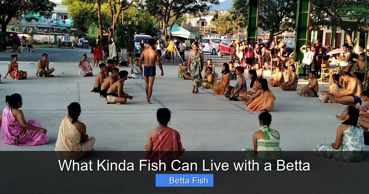 What Kinda Fish Can Live with a Betta