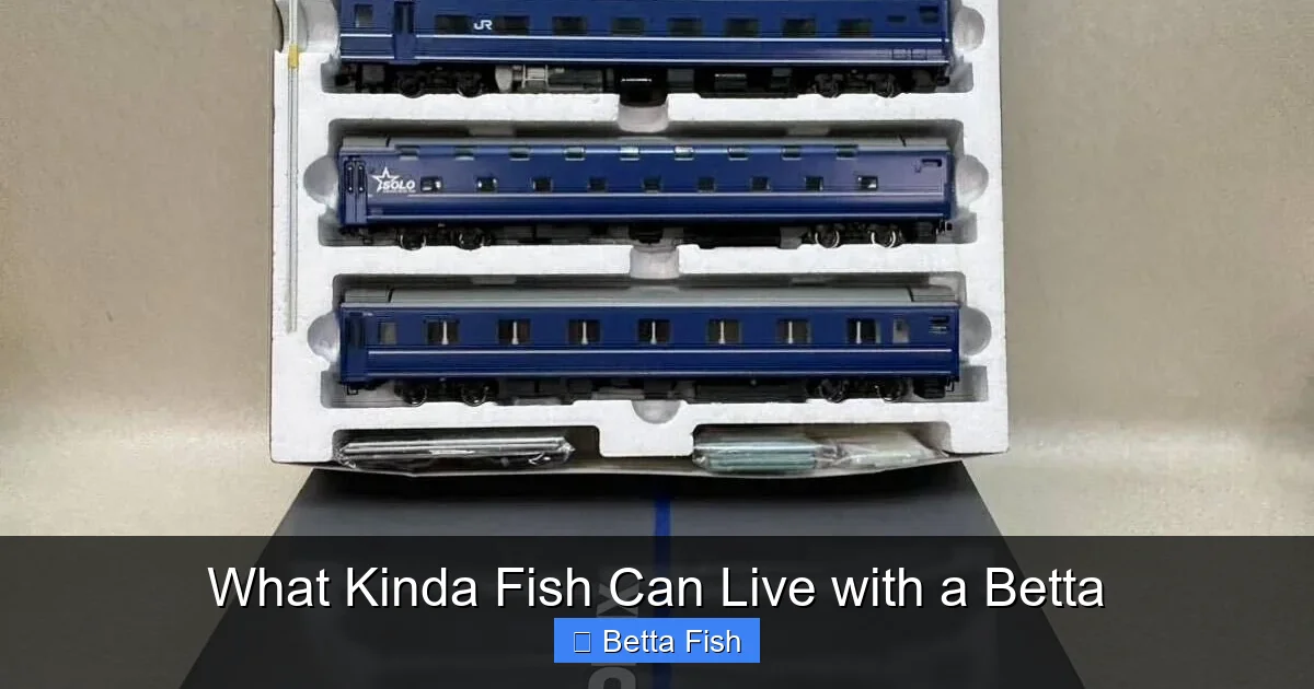 What Kinda Fish Can Live with a Betta