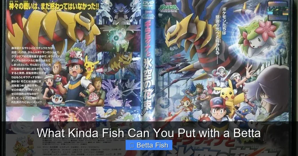 What Kinda Fish Can You Put with a Betta