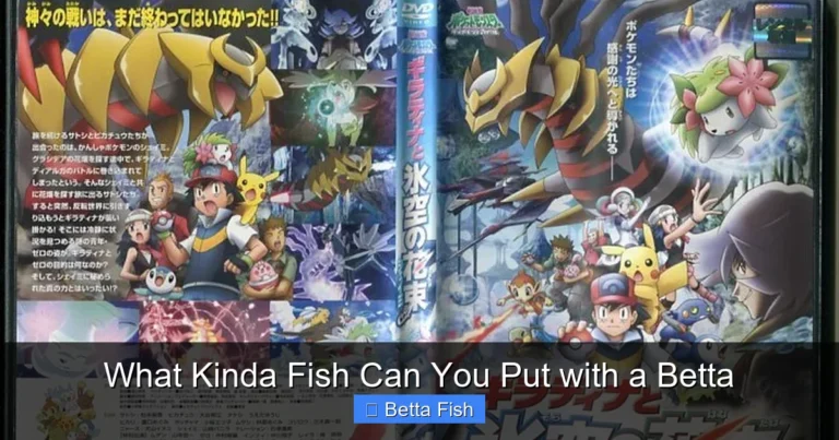 What Kinda Fish Can You Put with a Betta