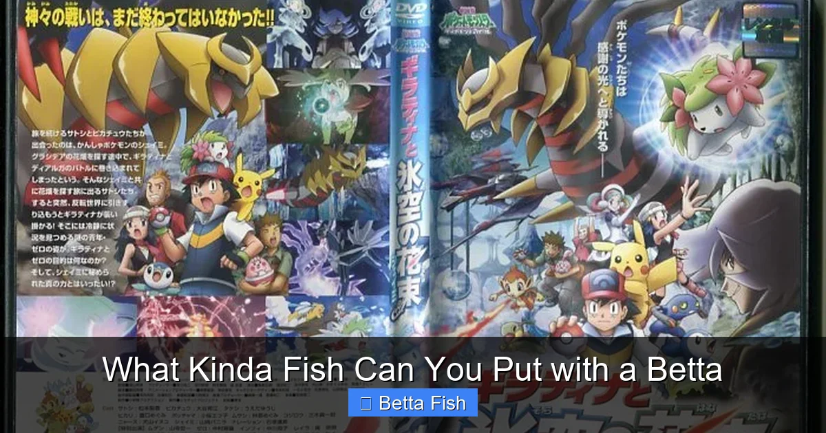 What Kinda Fish Can You Put with a Betta