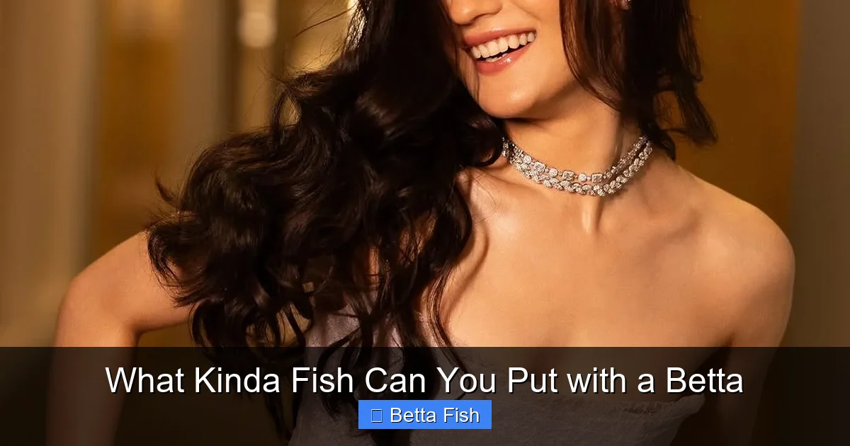 What Kinda Fish Can You Put with a Betta
