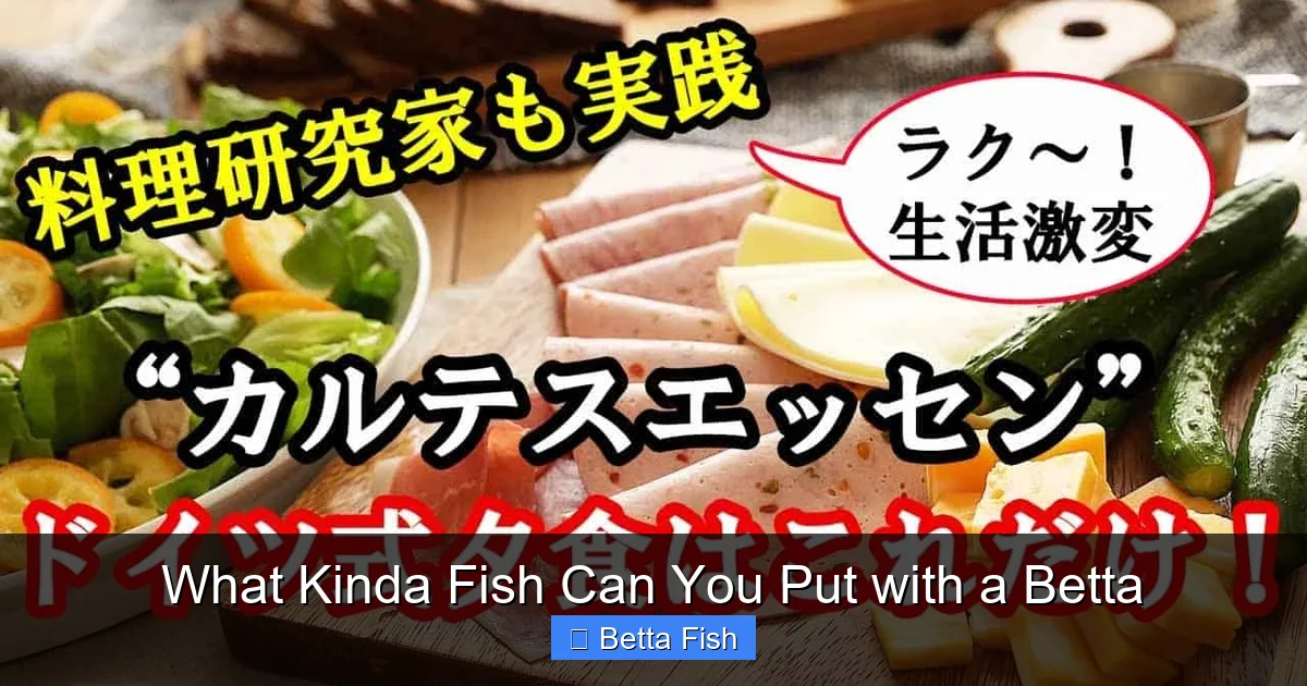 What Kinda Fish Can You Put with a Betta