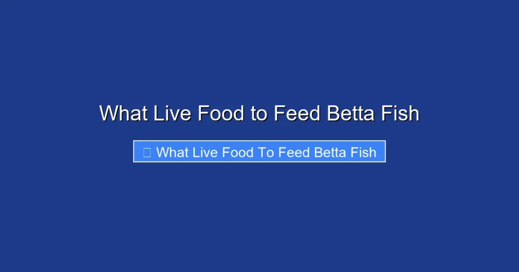 What Live Food to Feed Betta Fish