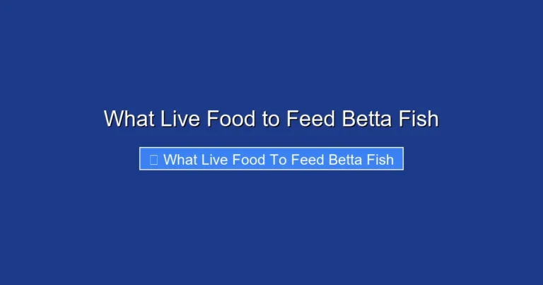 What Live Food to Feed Betta Fish