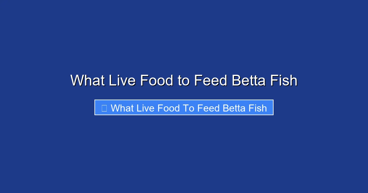 What Live Food to Feed Betta Fish