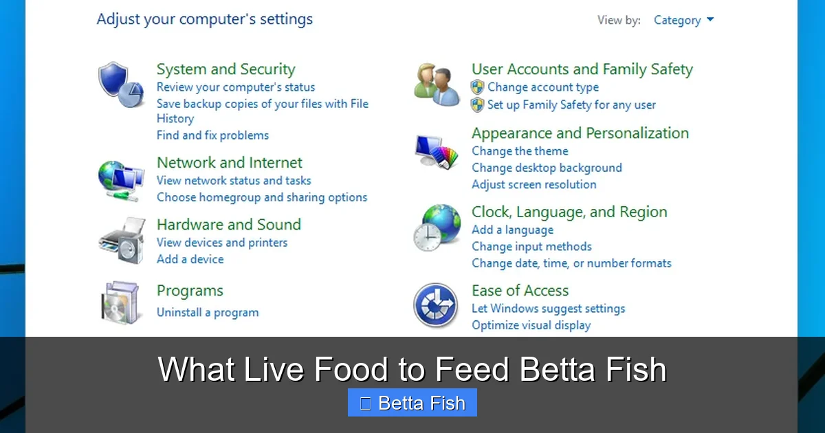 What Live Food to Feed Betta Fish