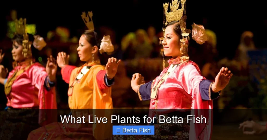 What Live Plants for Betta Fish