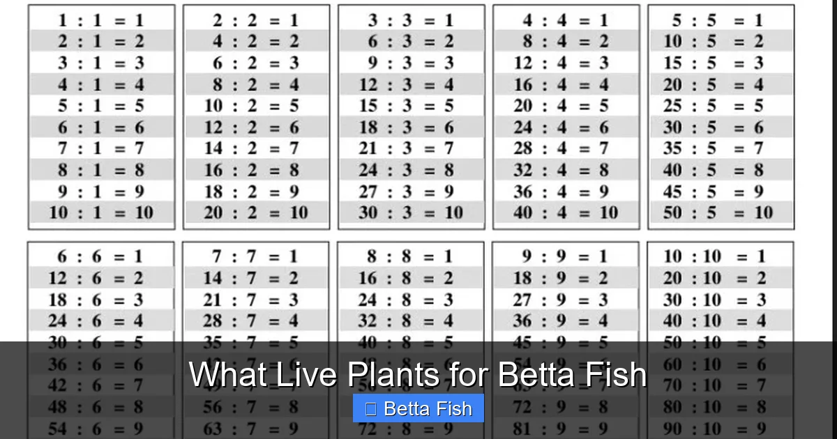 What Live Plants for Betta Fish