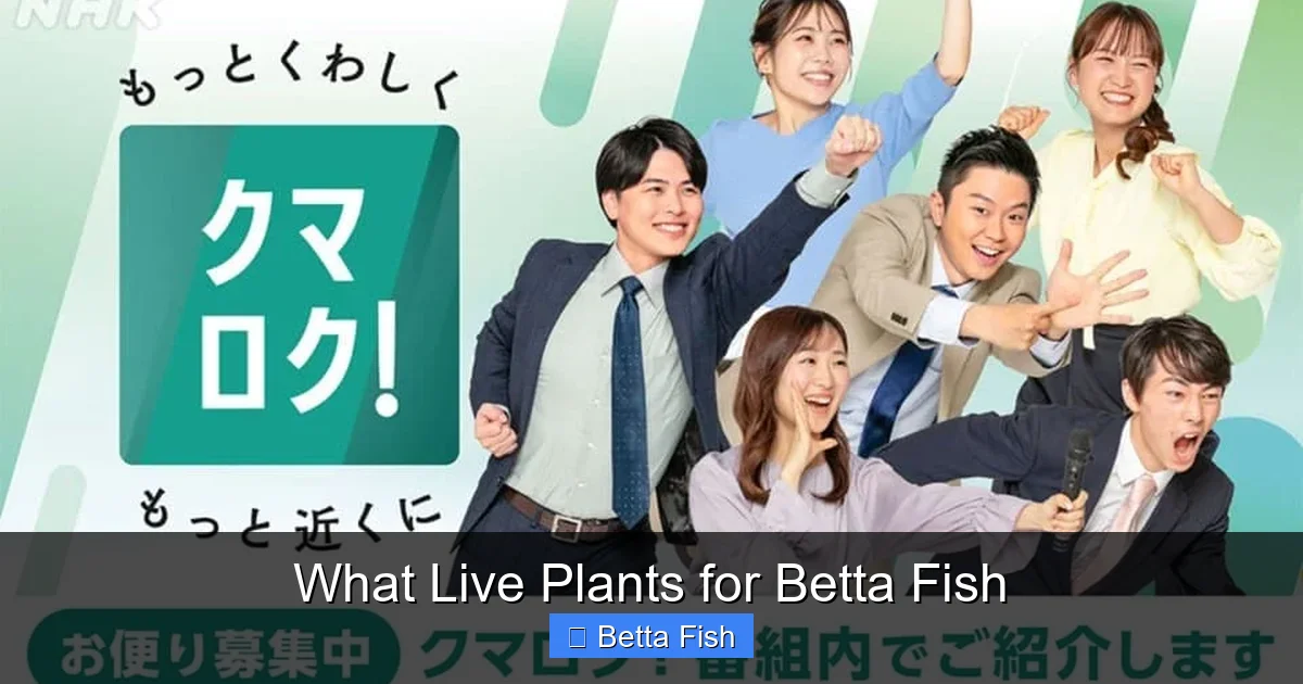 What Live Plants for Betta Fish