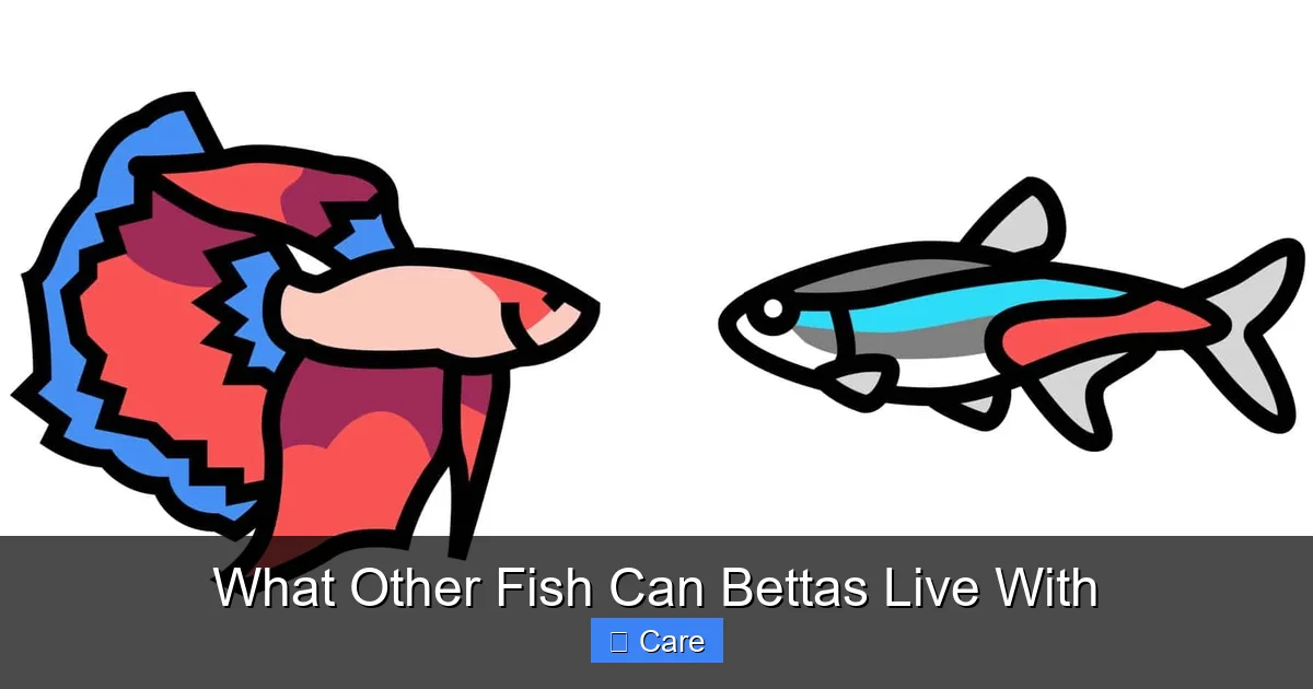 What Other Fish Can Bettas Live With