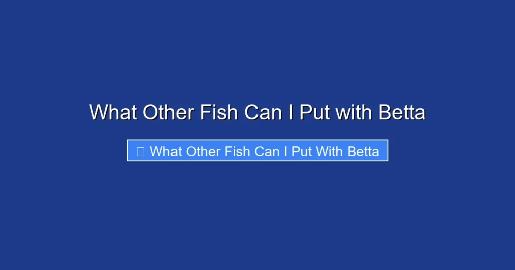 What Other Fish Can I Put with Betta