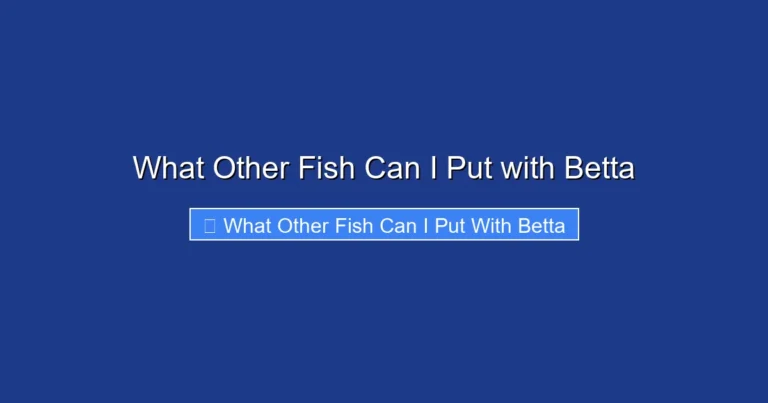 What Other Fish Can I Put with Betta