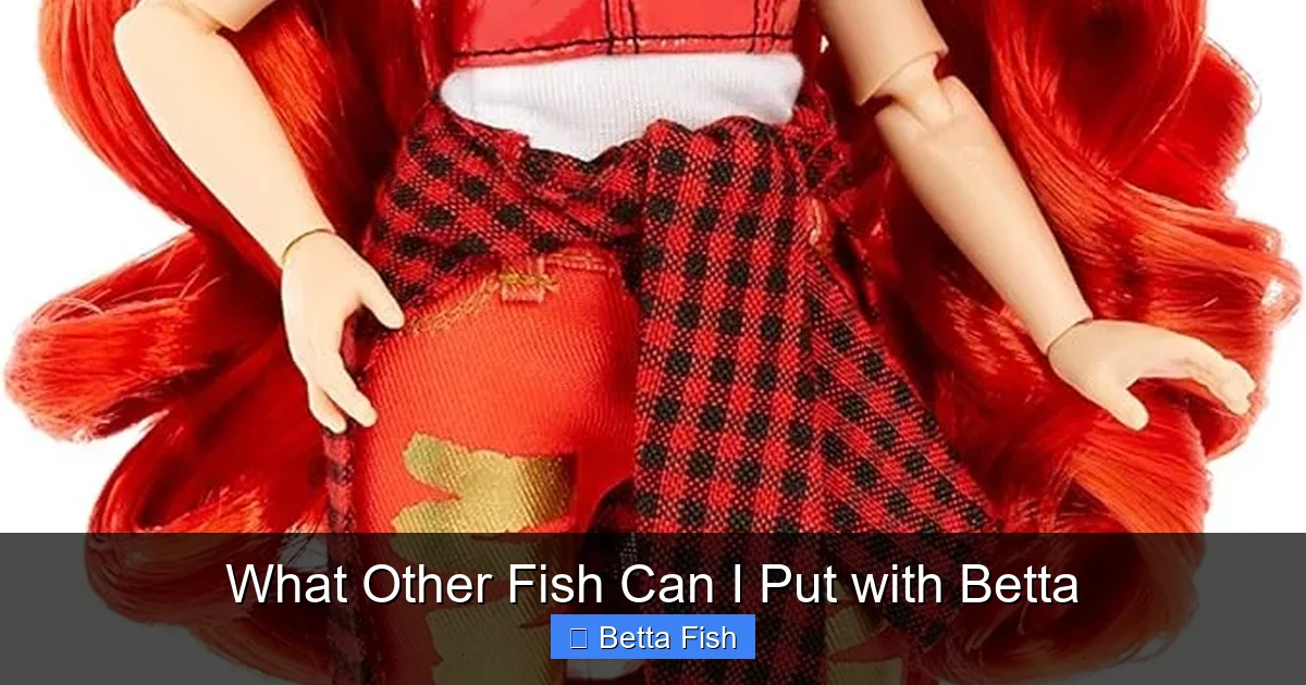 What Other Fish Can I Put with Betta