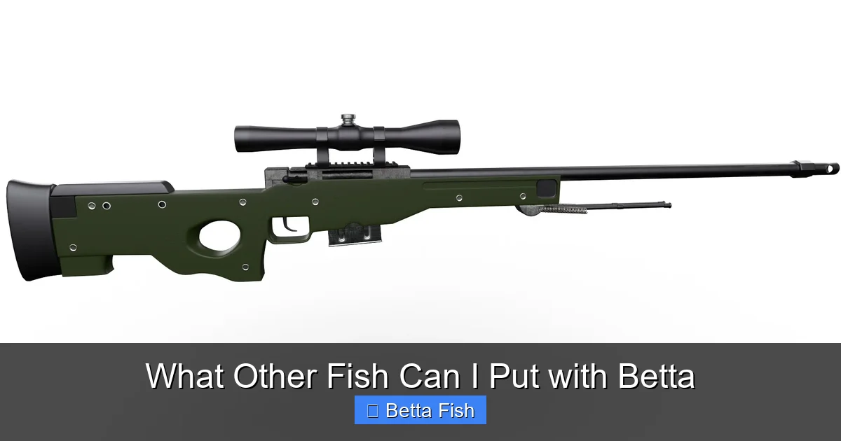 What Other Fish Can I Put with Betta