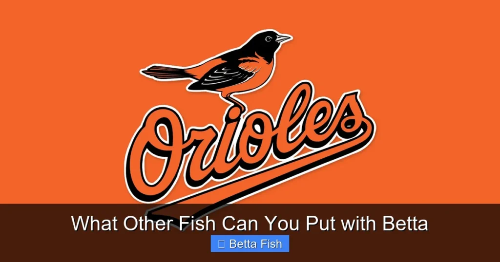 What Other Fish Can You Put with Betta