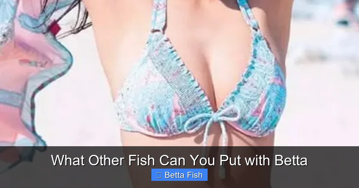 What Other Fish Can You Put with Betta