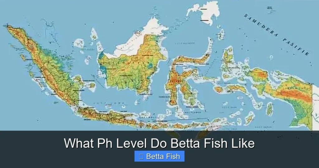 What Ph Level Do Betta Fish Like