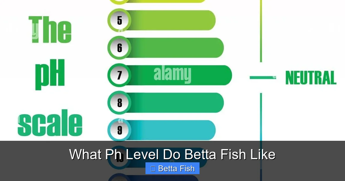 What Ph Level Do Betta Fish Like