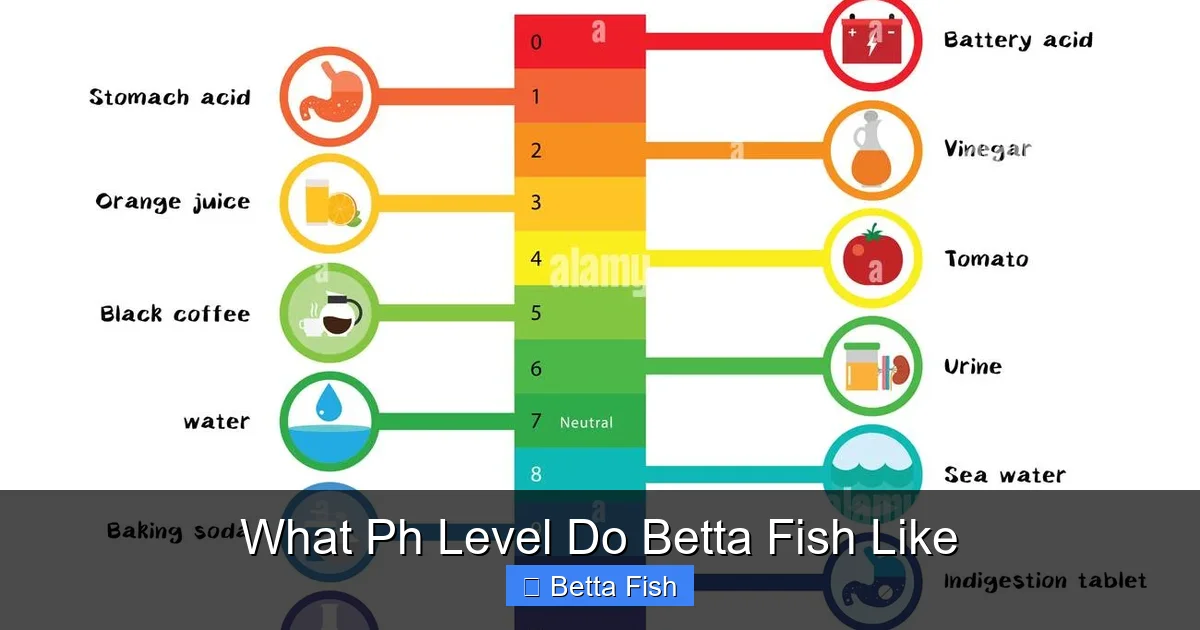 What Ph Level Do Betta Fish Like