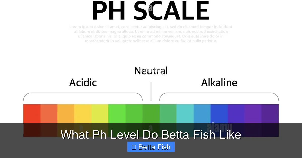 What Ph Level Do Betta Fish Like
